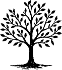 icone site internet